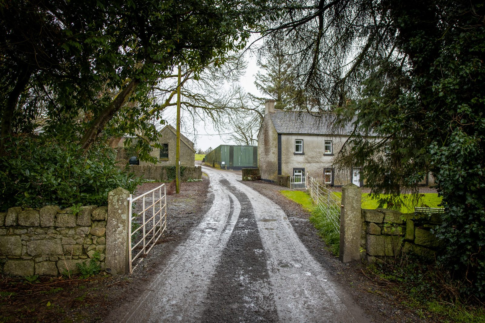 The laneway into Larch Grove