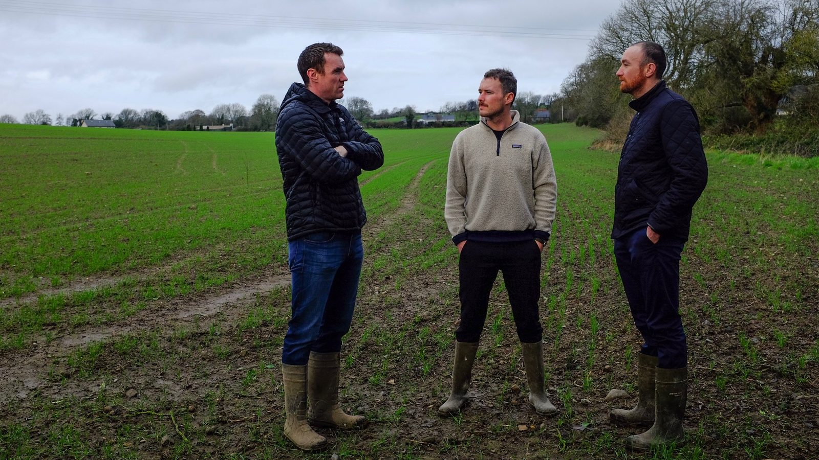 The founders in the field at Larch Grove